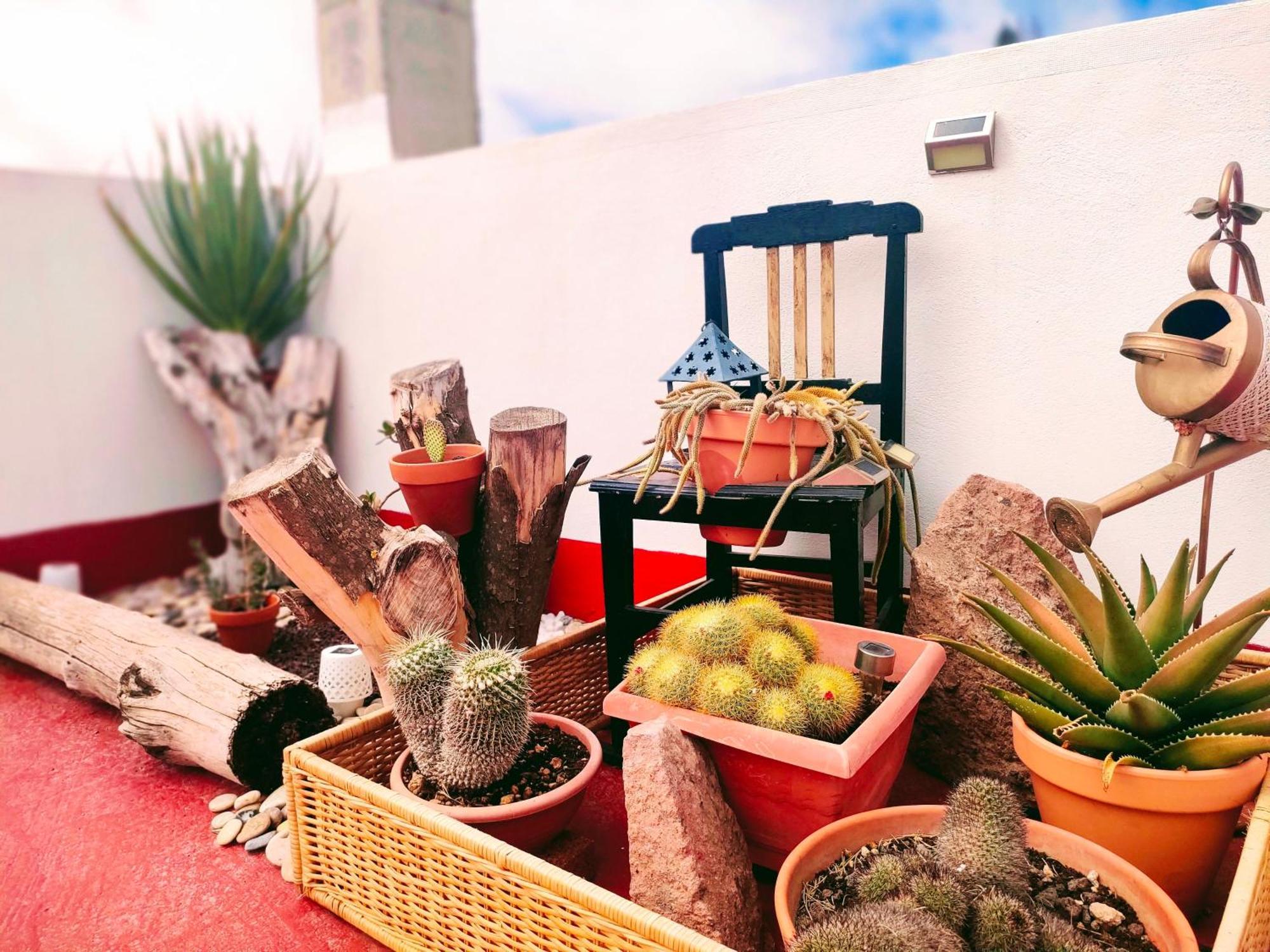 Casa El Escano 格拉纳迪利亚-德阿沃纳 外观 照片